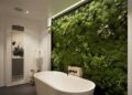 Trang trí không gian nhà tắm với cây xanh